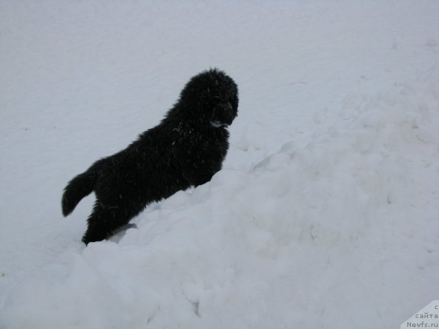 Фотография № 55546