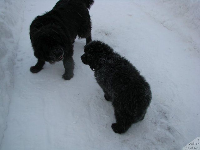 Фотография № 55553