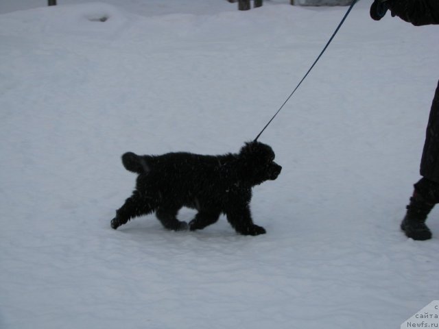 Фотография № 55554