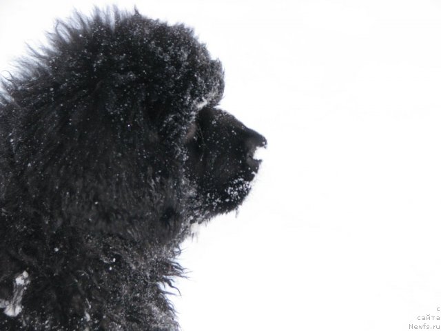 Фотография № 55558