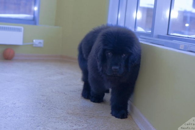 Фотография № 55559