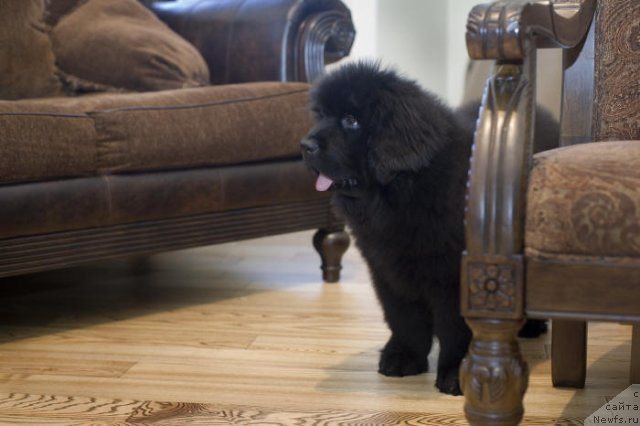 Фотография № 55560