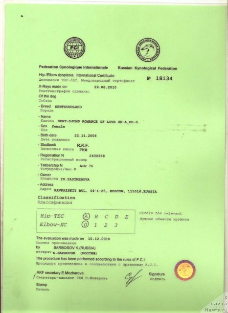 Фотография № 55574