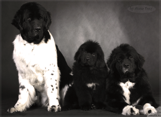 Фотография № 55614