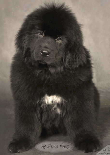 Фотография № 55624