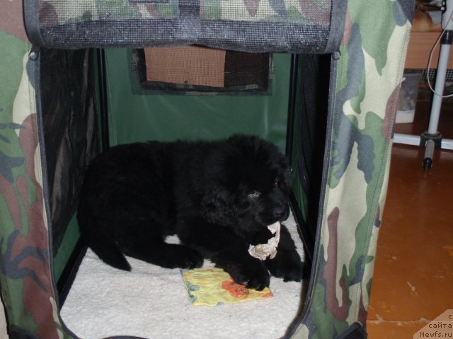 Фото: АК Оpen soul