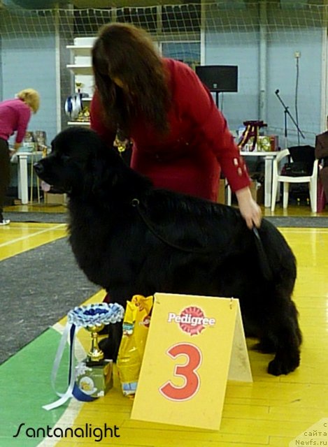 Фотография № 55642