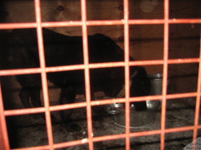 Фотография № 55646