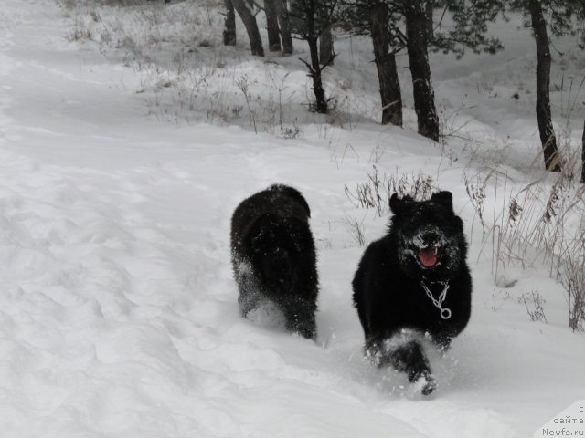 Фото: Татьяна Храменкова