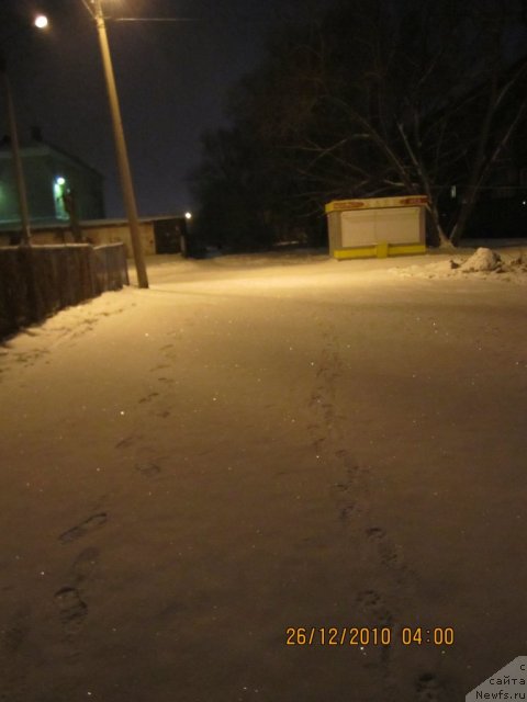 Фотография № 55706