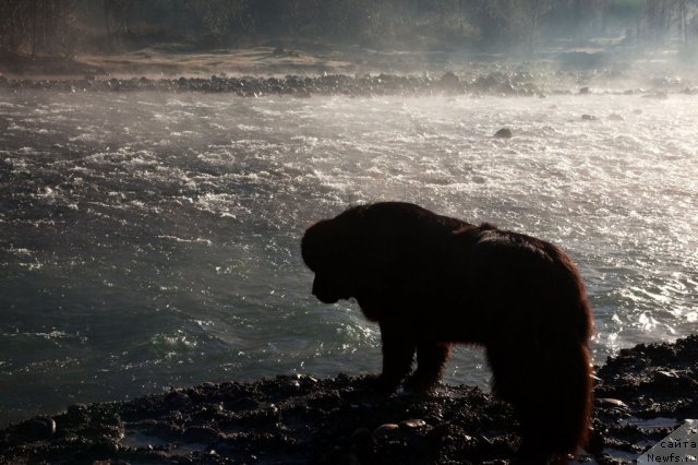 Фотография № 55739