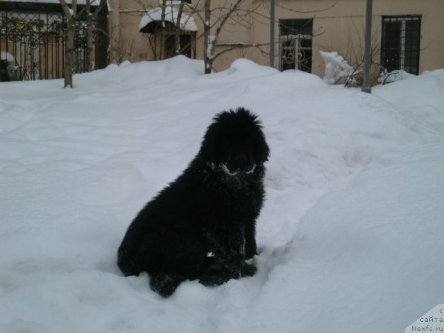 Фотография № 55740