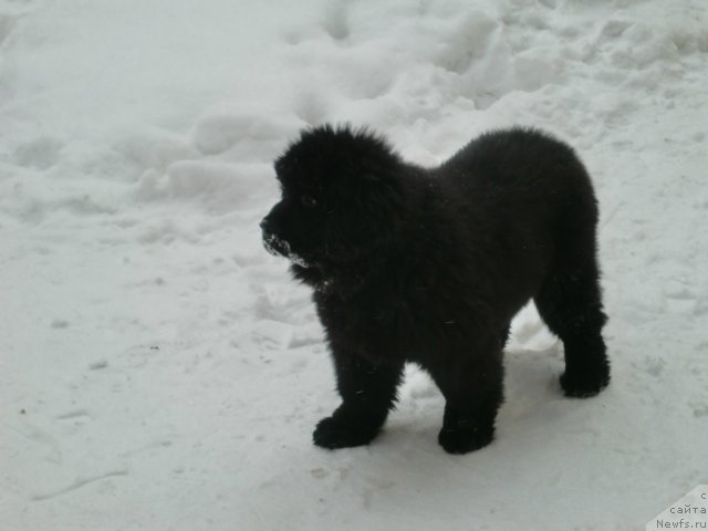 Фотография № 55742