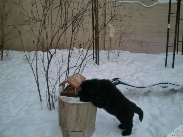 Фотография № 55743