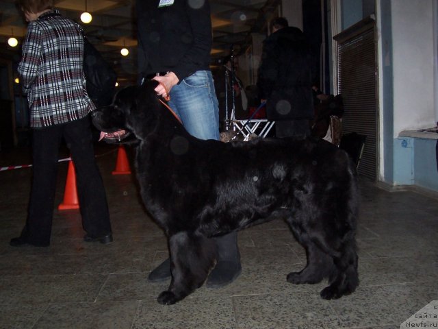 Фотография № 55751