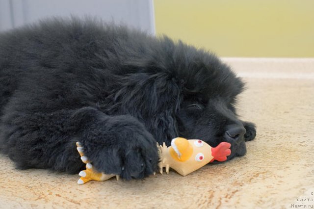 Фотография № 55757