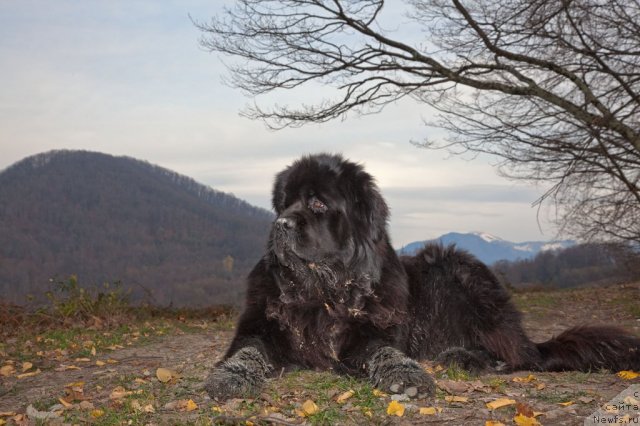 Фотография № 55785