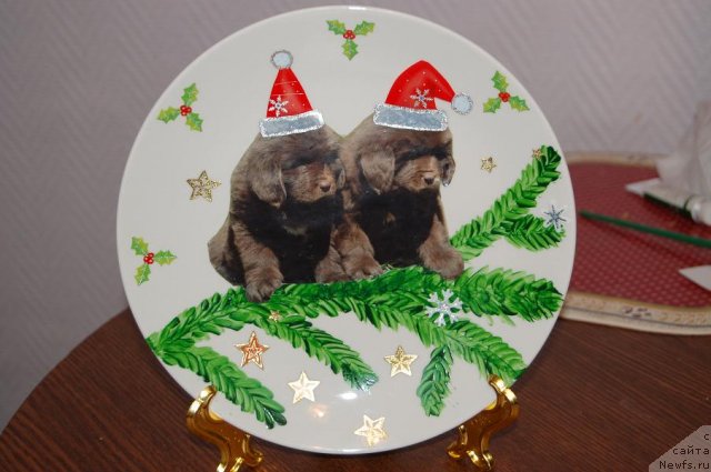 Фотография № 55807