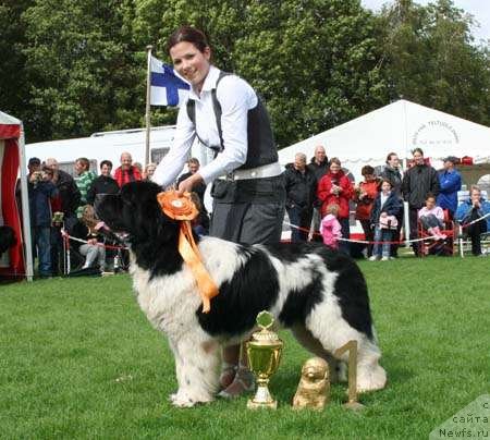 Фотография № 55822