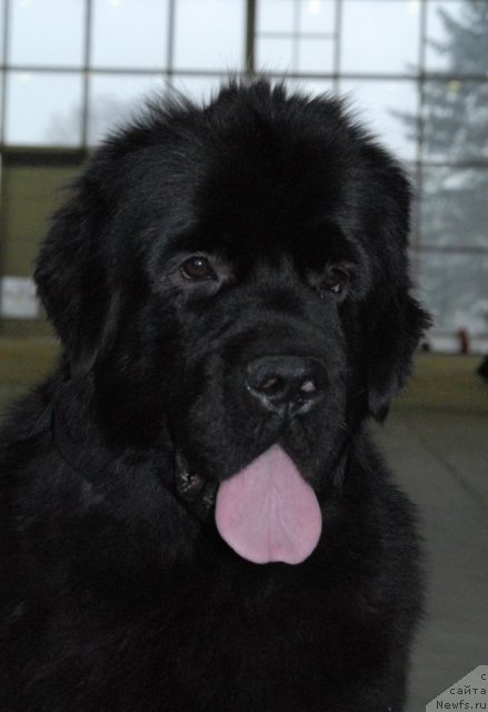 Фотография № 55836