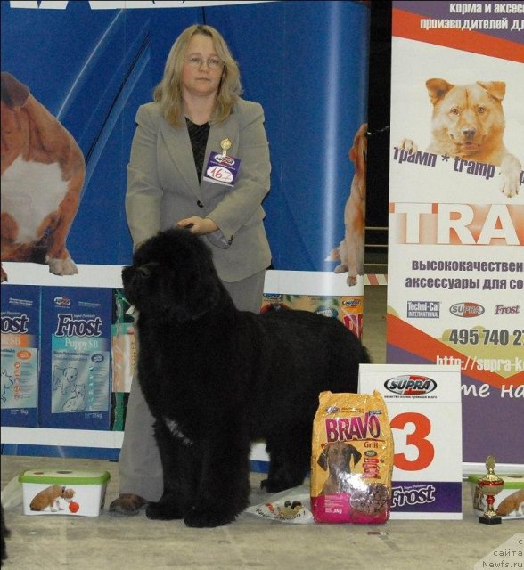 Фотография № 55837