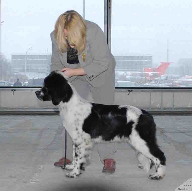 Фотография № 55848