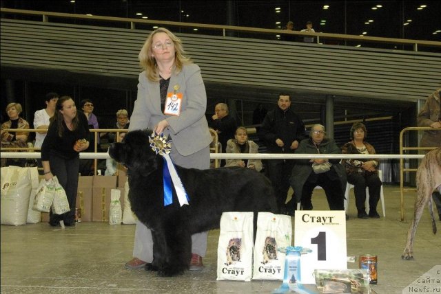 Фотография № 55851