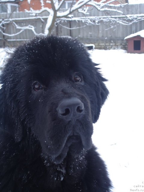 Фотография № 55869