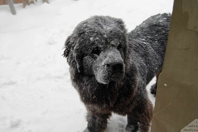 Фотография № 55876