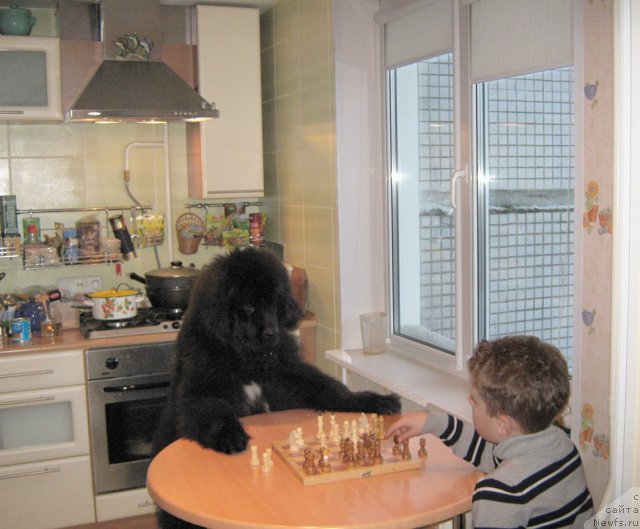 Фото: Грэг и Стёпа