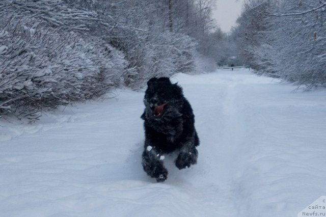 Фотография № 55900