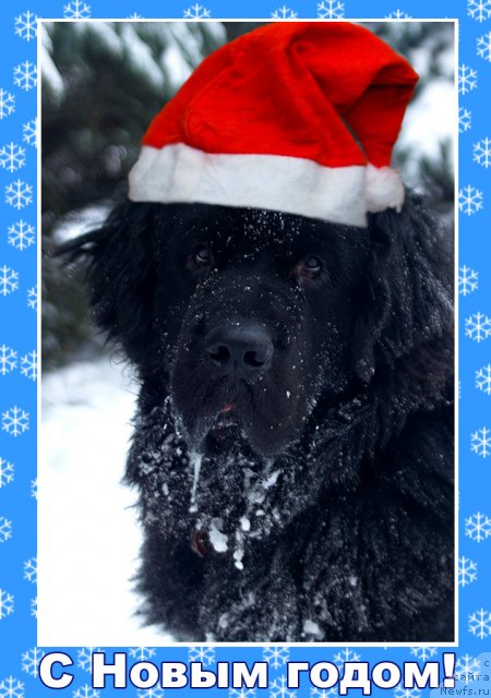 Фото: Гастон де Фуа