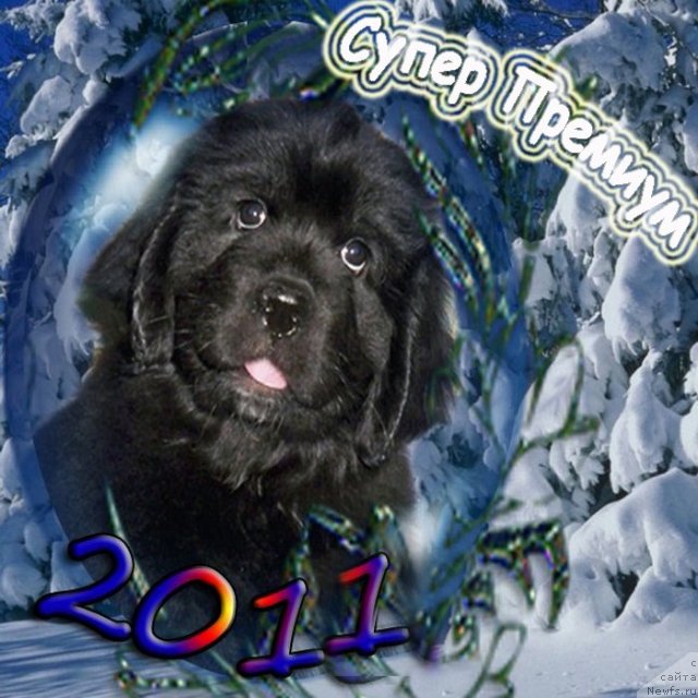 Фотография № 55932