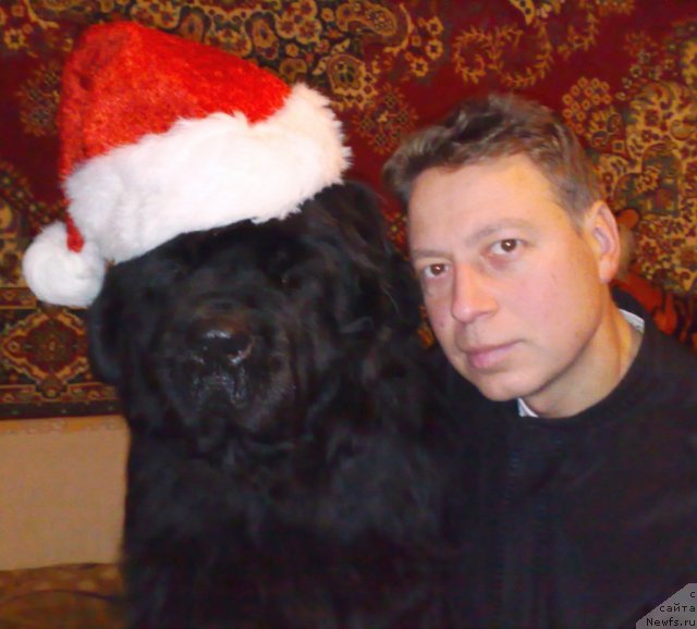 Фото: ньюфаундленд Смигар Нимфея Неотразимая (Smigar Nimfeya Neotrazimaya), Георгий