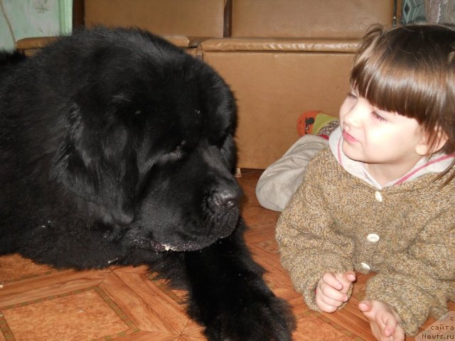 Фотография № 55948