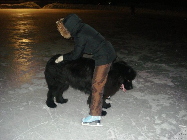 Фотография № 55963