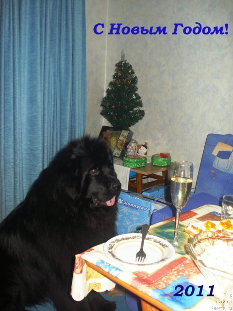 Фотография № 55964