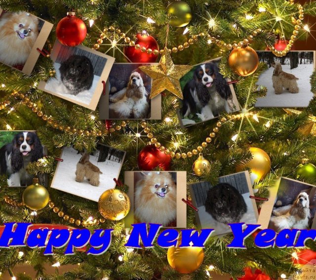 Фотография № 55967