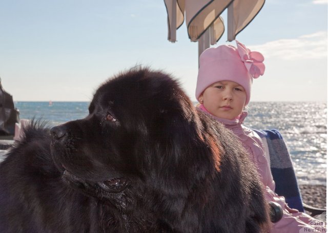 Фотография № 55969