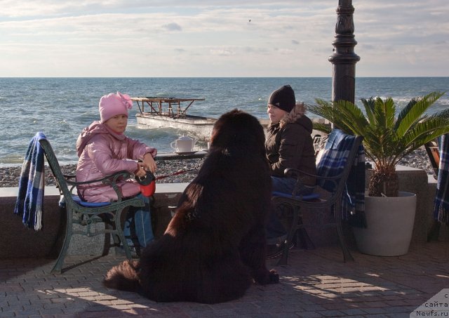 Фотография № 55971