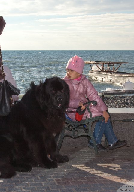 Фотография № 55973