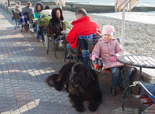 Фотография № 55974