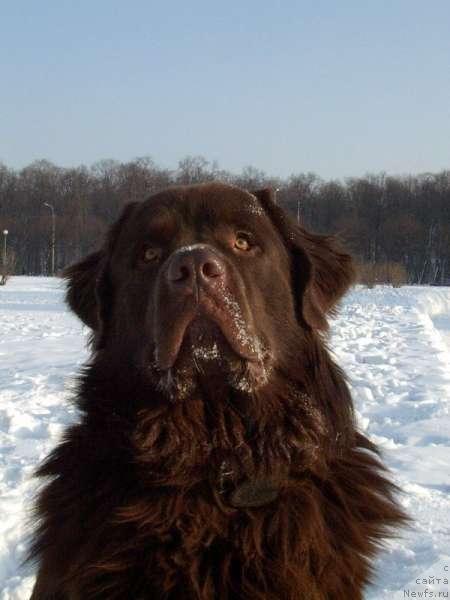 Фотография № 56