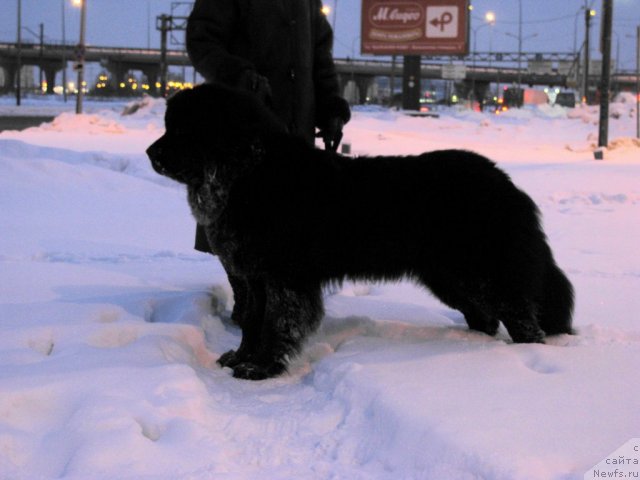 Фотография № 56016