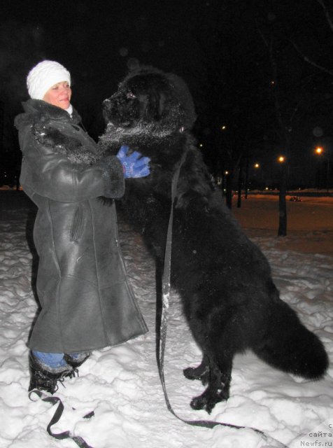 Фотография № 56018