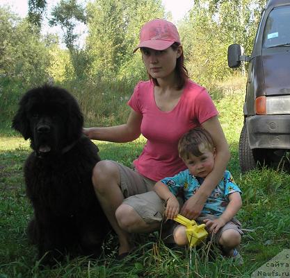 Фото: ньюфаундленд Отважный Рыцарь от Сибирского Медведя, Елена Григорьева