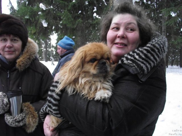 Фотография № 56063