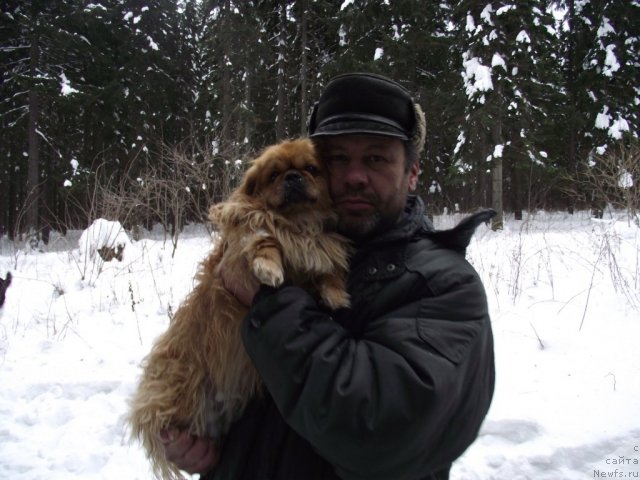 Фотография № 56065