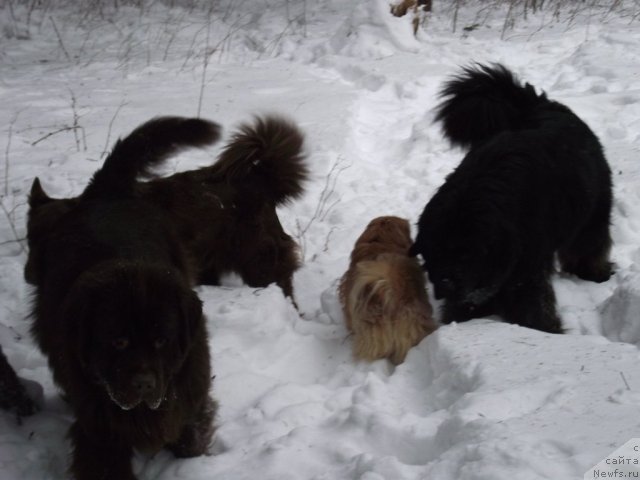 Фотография № 56070