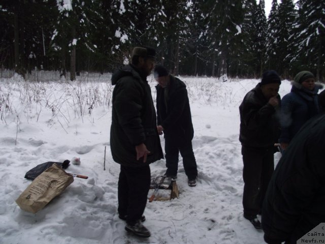 Фотография № 56071